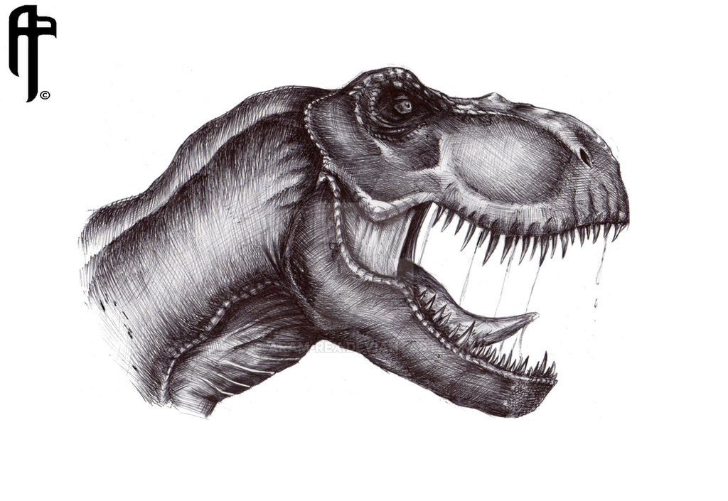jurassic_park_tyrannosaurus_rex_profile__by_aram_rex-d8o505d.png