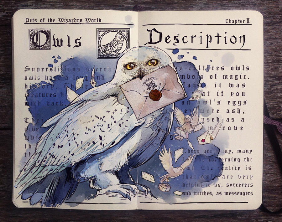 [Imagen: ___pets_of_the_wizarding_world__owls_by_...90q5ox.jpg]