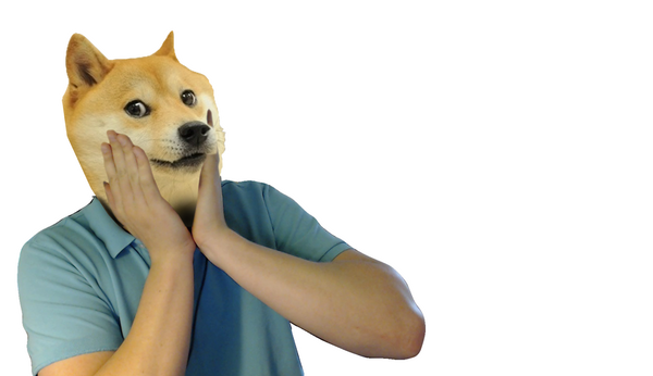 such_doge__png__by_vendus-d7ma3k5.png