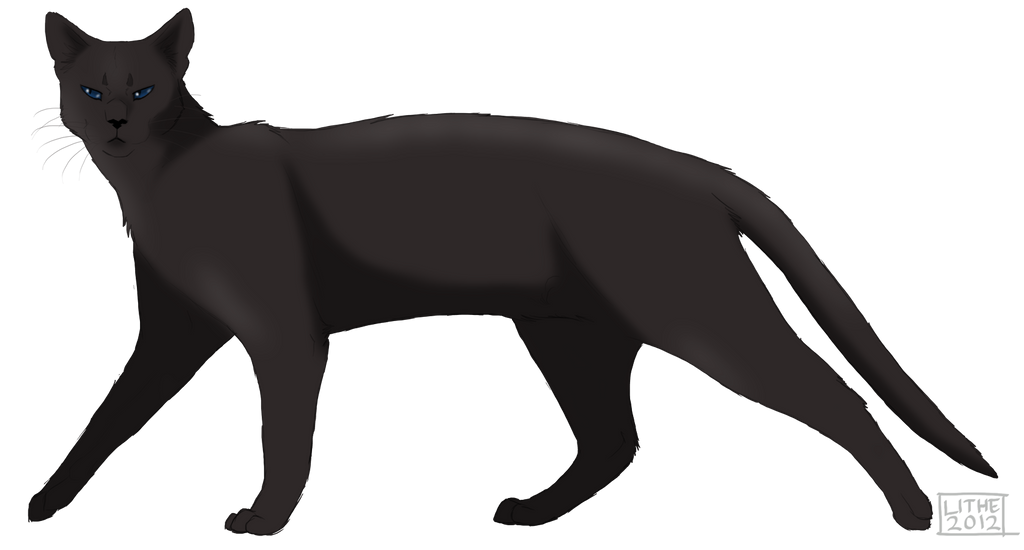 .:Crowfeather:. by Lithestep