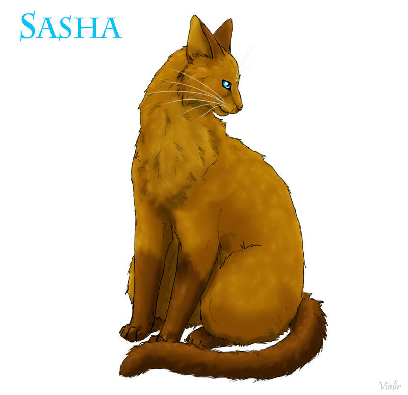 Sasha by Vialir