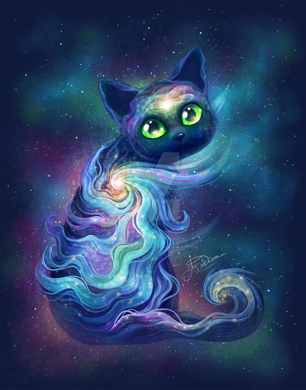 Galaxy Cat by Hidden-Rainbows on DeviantArt