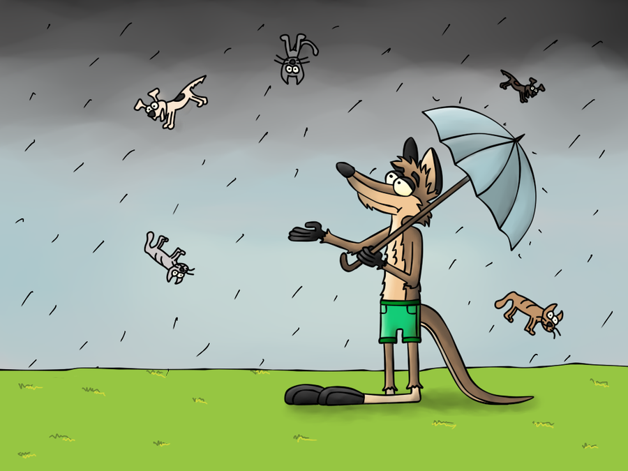 raining_cat__s_and_dog__s__by_steppenwolf92-d5au7py.png