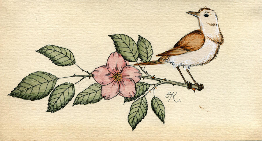 Αποτέλεσμα εικόνας για nightingale painting