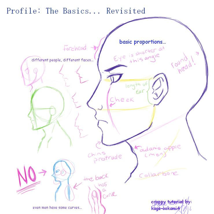 Profile: The Basics Revisited by kage-ookami4 on DeviantArt